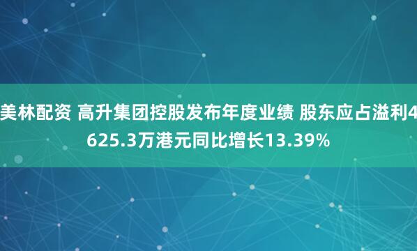 美林配资 高升集团控股发布年度业绩 股东应占溢利4625.3万港元同比增长13.39%
