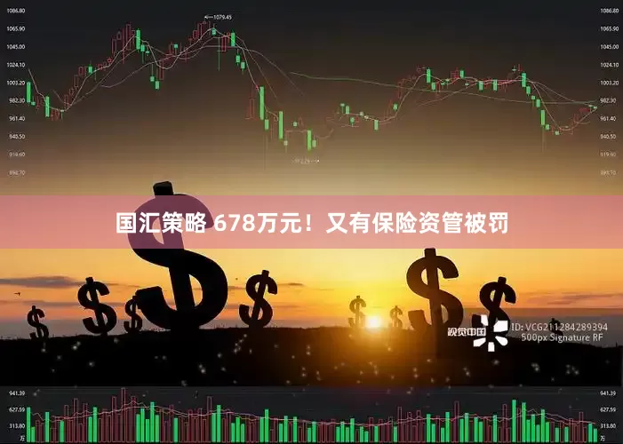 国汇策略 678万元！又有保险资管被罚