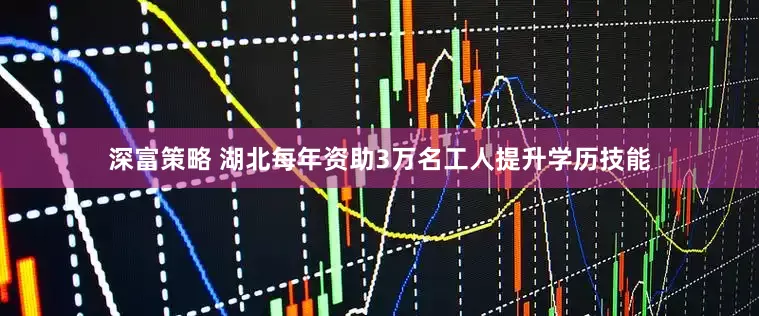 深富策略 湖北每年资助3万名工人提升学历技能