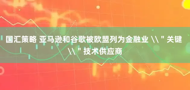 国汇策略 亚马逊和谷歌被欧盟列为金融业 \＂关键 \＂技术供应商