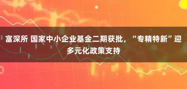 富深所 国家中小企业基金二期获批,“专精特新”迎多元化政策支持